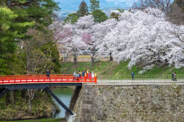 Sakura Tsuruga-jo Kalesi