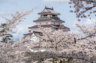 Sakura Tsuruga-jo Kalesi