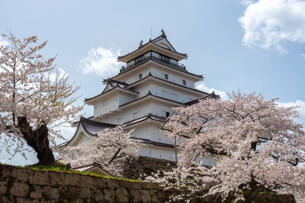 Castillo de Tsuruga jo con flor de sakura — Foto de Stock