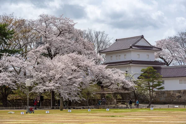 Castillo de Tsuruga jo con sakura — Foto de Stock