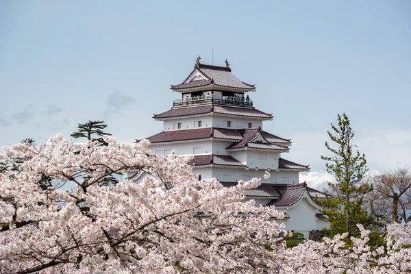 Castillo de Tsuruga jo con sakura — Foto de Stock