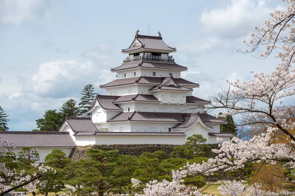 Castillo de Tsuruga jo con sakura — Foto de Stock