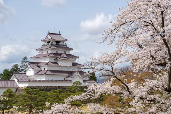 Castillo de Tsuruga jo con sakura — Foto de Stock