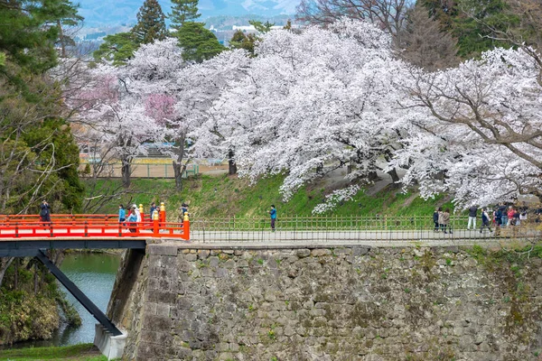 Sakura Tsuruga-jo Kalesi