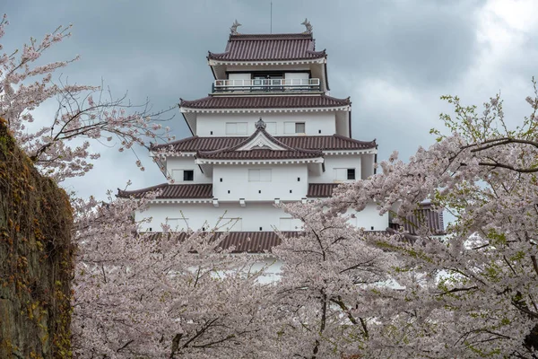 Castillo de Tsuruga jo con flor de sakura — Foto de Stock