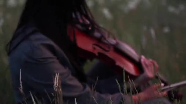 Азиатская Скрипачка Играет Скрипке Улыбается Лугу Фоне Трав Цветов Сумерках — стоковое видео