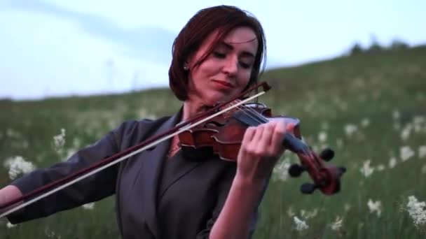 Kvinna Violinisten Spelar Fiol Ängen Bakgrunden Himlen Örter Och Blommor — Stockvideo