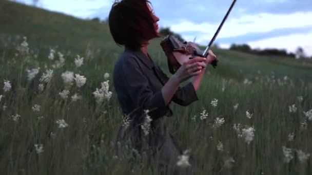 女性ヴァイオリニストが夕暮れ時にハーブおよび花の背景草原でバイオリンを演奏します — ストック動画