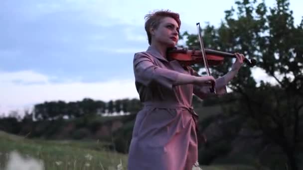 Violoniste Femme Joue Violon Pré Sur Fond Ciel Herbes Fleurs — Video