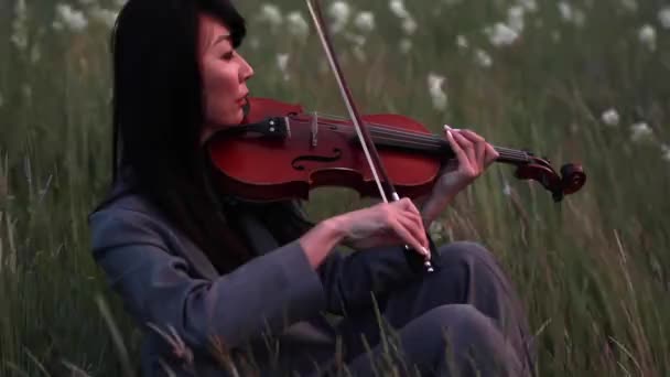 亚洲女子小提琴家在草地上演奏小提琴在草和花的背景在黄昏 — 图库视频影像