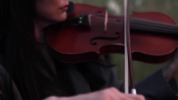 Violinista Asiática Toca Violín Prado Sobre Fondo Hierbas Flores Atardecer — Vídeo de stock