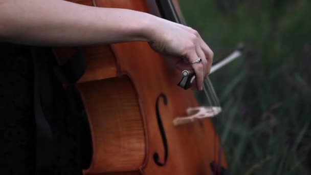 Violoncellist 在草甸的背景下演奏大提琴在草本和花在黄昏 — 图库视频影像