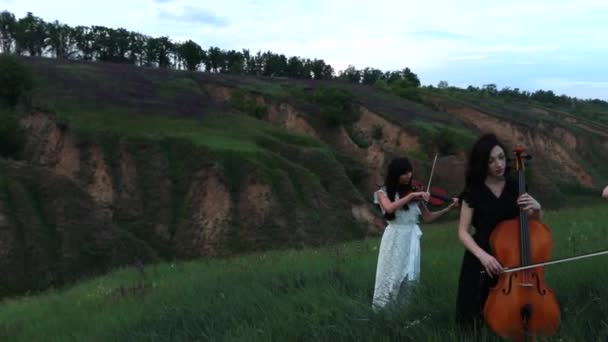 Cuarteto Musical Femenino Con Tres Violines Violonchelo Toca Prado Floreciente — Vídeos de Stock