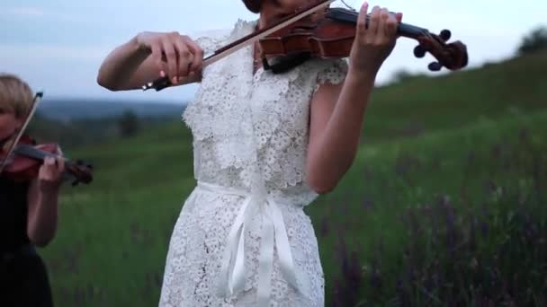 Kvinnlig Musikalisk Duo Med Två Violiner Spelar Blommande Äng Skymningen — Stockvideo