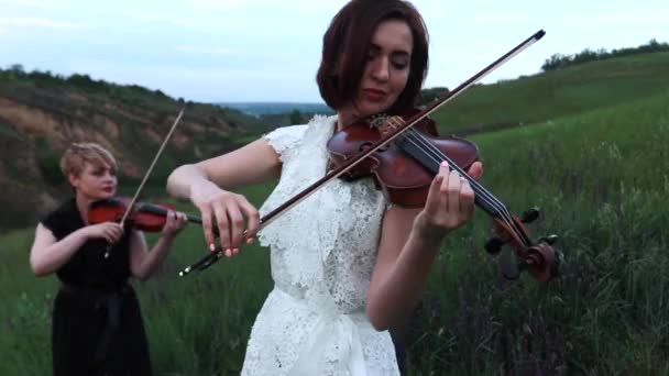 Kobiece Kwartetu Muzycznego Troje Skrzypiec Wiolonczelę Jeden Gra Łące Kwitnące — Wideo stockowe