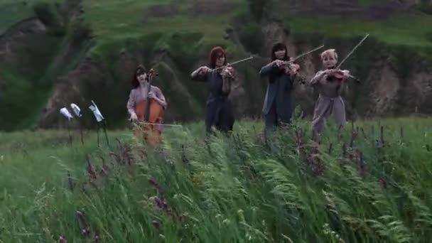 Cuarteto Musical Femenino Con Tres Violines Violonchelo Toca Prado Floreciente — Vídeo de stock