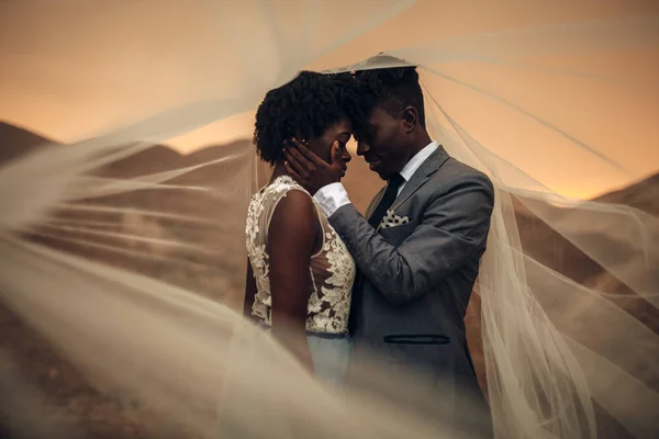 Negro Feliz Recién Casados Pie Bajo Velo Nupcial Abrazar Cañón — Foto de Stock