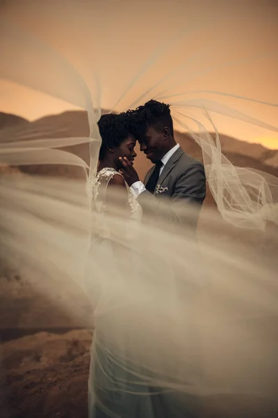 Les Jeunes Mariés Noirs Heureux Tiennent Sous Voile Nuptial Embrassent — Photo