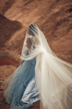 Uzun Gelinlik ve gelin peçe siyah mutlu gelin güzel manzara arka plan üzerinde duruyor. Yan görünüm.