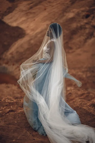 長いウェディング ドレスとブライダル ベールの黒い笑みを浮かべて花嫁は美しい風景を背景に立っています 横から見た図 — ストック写真