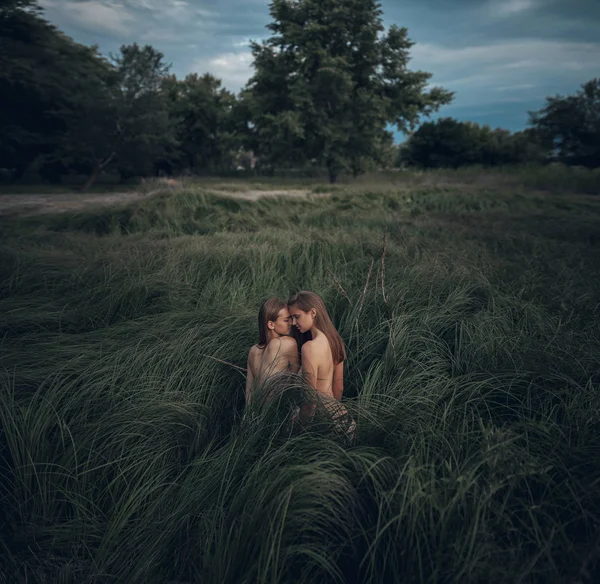 裸女同性恋夫妇站在高高的草地上草地上的树木和天空的背景 — 图库照片