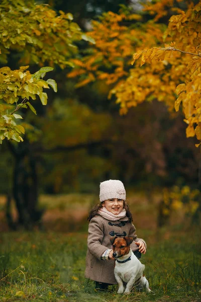 Niña Niña Sienta Juega Con Perro Durante Paseo Bosque Otoño —  Fotos de Stock