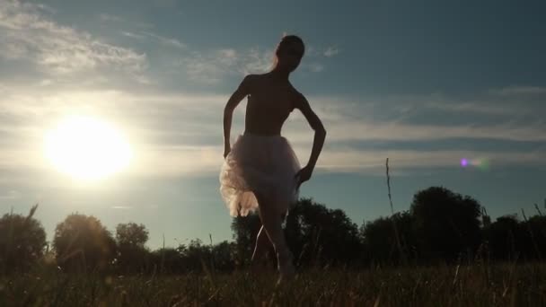 Балерина Белом Прозрачном Платье Танцует Фоне Заката Луга Голубого Неба — стоковое видео