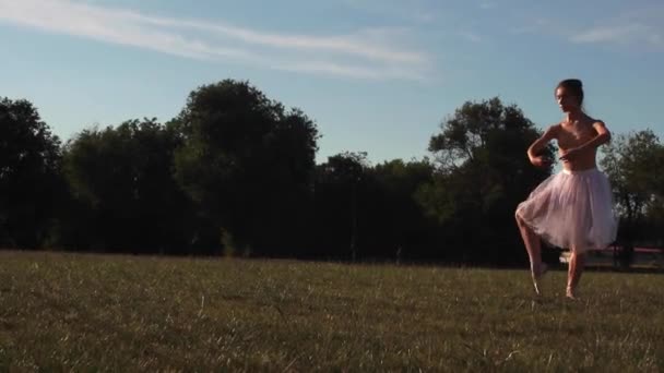 牧草地 と青空の背景に白い透明なドレス ダンス バレリーナ バックライト — ストック動画