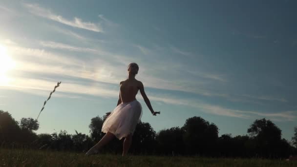 Ballerina Abito Bianco Trasparente Danza Sfondo Prato Alberi Cielo Azzurro — Video Stock