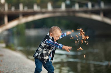 Küçük bir çocuk oyun ve parkta bir yürüyüş sırasında bir göl ve bir köprü arka planı sonbahar yaprakları kadar atma.