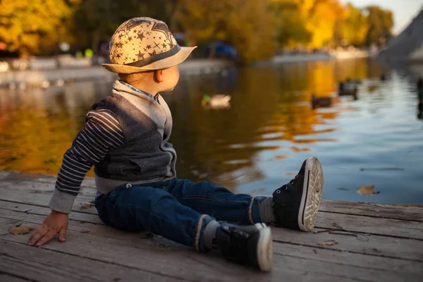 一个小男孩坐在湖边 在公园散步时 在黄色的秋树和漂浮的鸭子的背景 — 图库照片