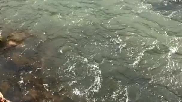 Big Stone Falling Fast Flowing Mountain River Produces Lot Splashes — Stock Video