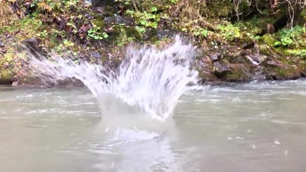 大石头掉进了湍急的小河里 产生了大量的飞溅 波浪和水滴在空气中飞行 慢动作 — 图库视频影像