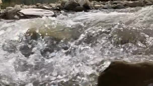 Νερό Στο Γρήγορο Ορεινό Ποτάμι Ρέει Γύρω Από Μεγάλες Πέτρες — Αρχείο Βίντεο