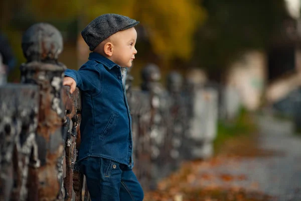 Ein Kleiner Junge Mit Mütze Steht Bei Einem Spaziergang Park — Stockfoto