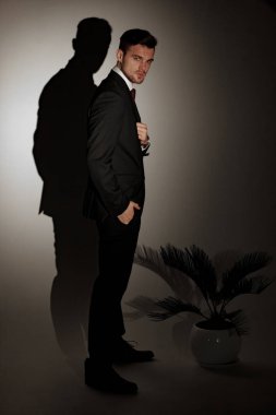 Siyah bir takım elbise ve beyaz bir gömlek genç işadamı karşı gölgesini yeşil ev bitkisi yanındaki duvarda duruyor. Yan görünüm.