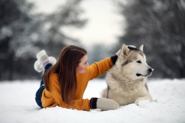 Kız yanında bir köpek Alaskan Malamute karda yalan söylüyor ve onun kışın yürüyüşe sarılarak.