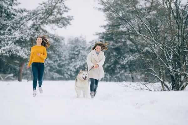 两个女孩和一只狗在雪白的森林路上奔跑 — 图库照片