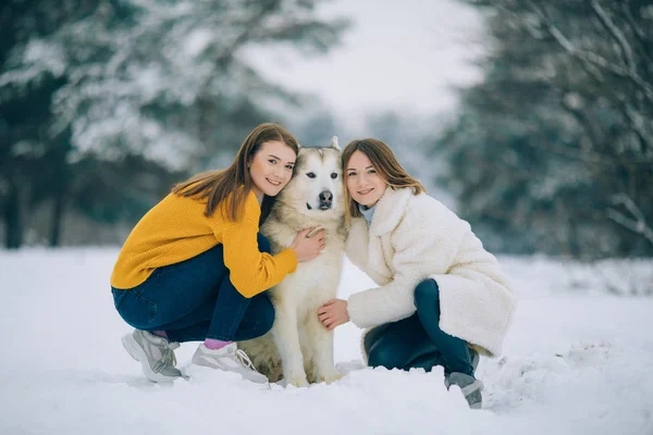 两个女孩和一只狗在雪林里散步 — 图库照片