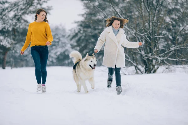 Dos Chicas Corren Camino Nevado Con Perro Alaska Malamute Invierno — Foto de Stock