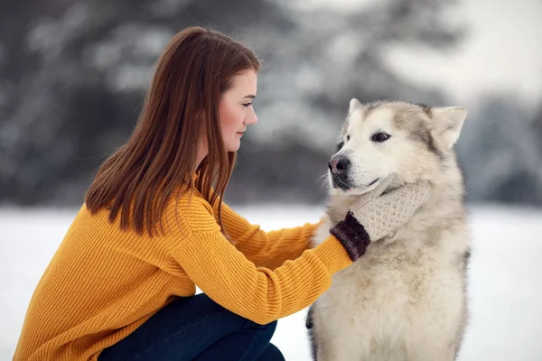 Menina Senta Lado Cão Malamute Alasca Abraça Seu Para Passeio — Fotografia de Stock