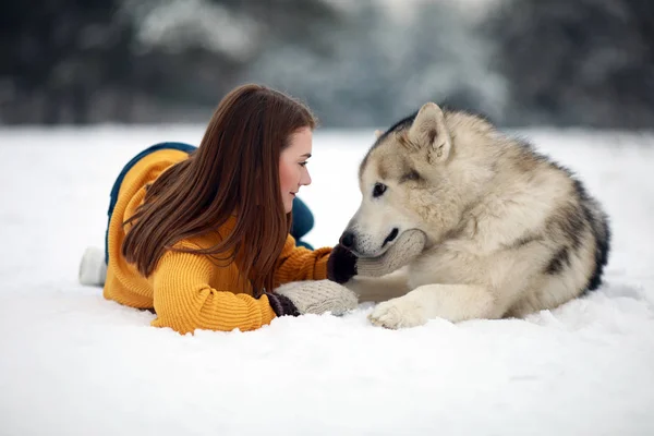 Chica Está Tirada Nieve Junto Perro Alaska Malamute Abraza Para — Foto de Stock
