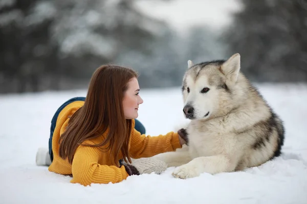 女孩躺在雪中 旁边是一只狗阿拉斯加马拉穆特 冬天拥抱他去散步 — 图库照片