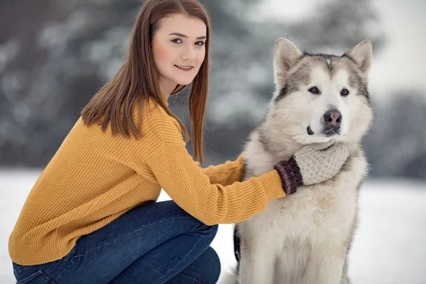 Kız Yanında Bir Köpek Alaskan Malamute Oturur Onun Kışın Yürüyüşe — Stok fotoğraf