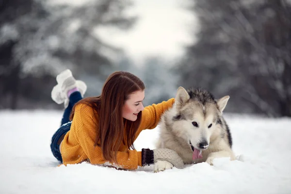 Fille Est Couchée Dans Neige Côté Chien Alaskan Malamute Étreint — Photo