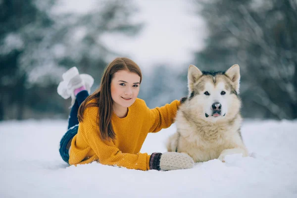 女孩躺在雪中 旁边是一只狗阿拉斯加马拉穆特 冬天拥抱他去散步 — 图库照片