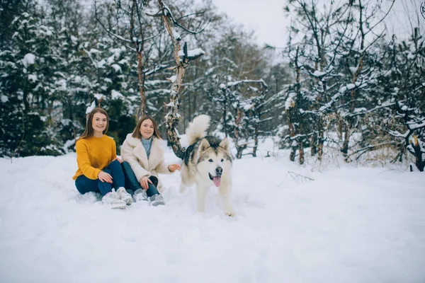 Dos Chicas Caminan Bosque Nevado Con Perro Alaska Malamute Invierno — Foto de Stock