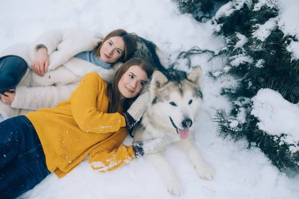 여자는 겨울에 강아지 Malamute 알래스카에 그들의 머리를 — 스톡 사진