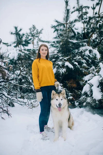 Lány Mellett Alaszka Malamute Kutya Részére Egy Séta Téli Erdő — Stock Fotó
