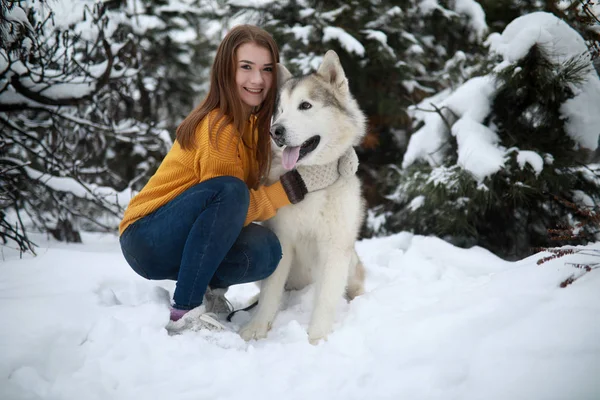 Kızlar Kış Forest Pines Arka Plan Karşı Yürüyüşe Köpek Alaskan — Stok fotoğraf